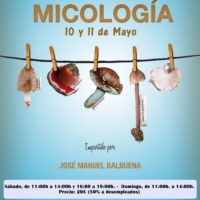 Taller de micología – 10 y 11 mayo