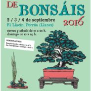 Exposición de Bonsái – 2,3 y 4 de septiembre